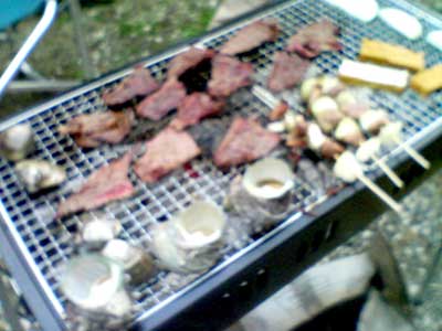 bbq_b0053867_18211373.jpg