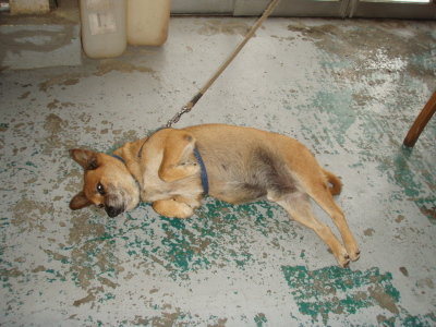 夏休み最終日_a0077071_18194012.jpg