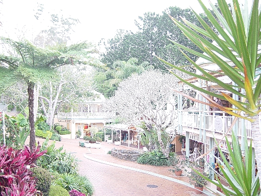 Montville_a0098174_23224760.jpg