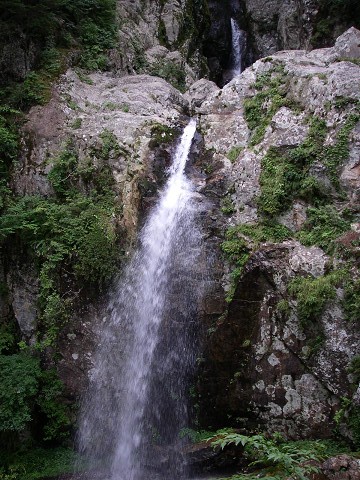 弥山川コースで弥山・八経ケ岳へ（１日目）_c0002874_2028973.jpg