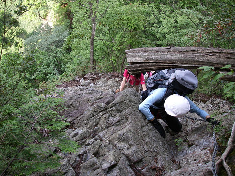c0002874_20363023.jpg