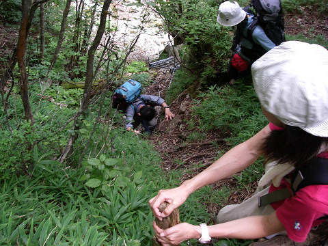 弥山川コースで弥山・八経ケ岳へ（１日目）_c0002874_20435843.jpg