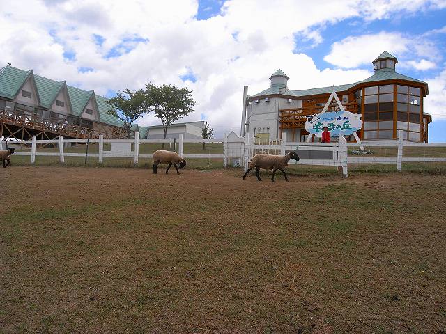 8月29日利尻山から富良野岳へ、移動日_f0138096_13584380.jpg