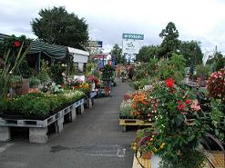 f0059498_16263421.jpg