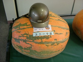 c0125501_2246339.jpg