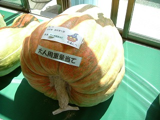 c0125501_238227.jpg