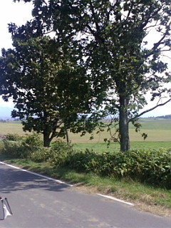 e0126302_8293399.jpg