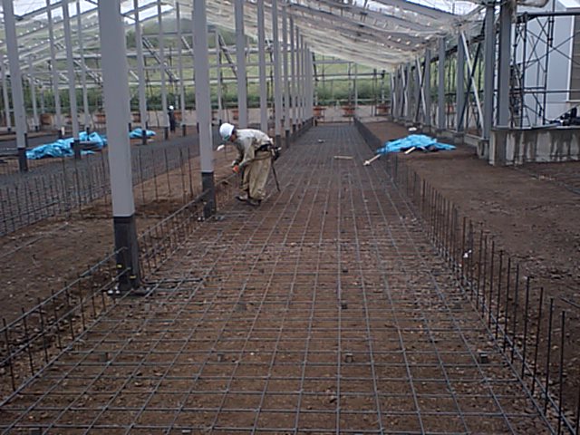 f0025004_18583943.jpg