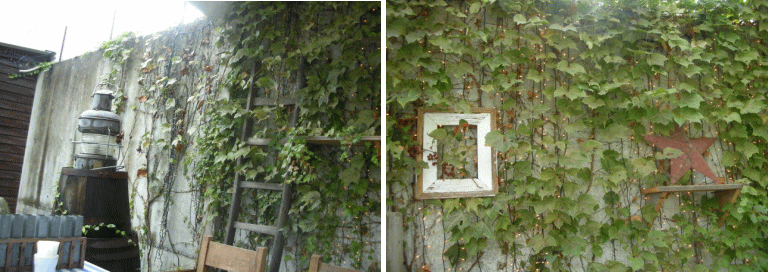 c0017311_10231277.gif