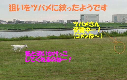 f0121712_9161995.jpg