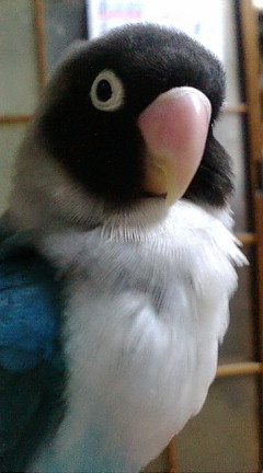 f0126418_13304045.jpg