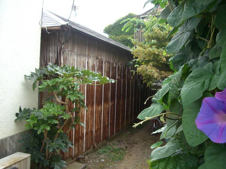 d0065324_17474834.jpg