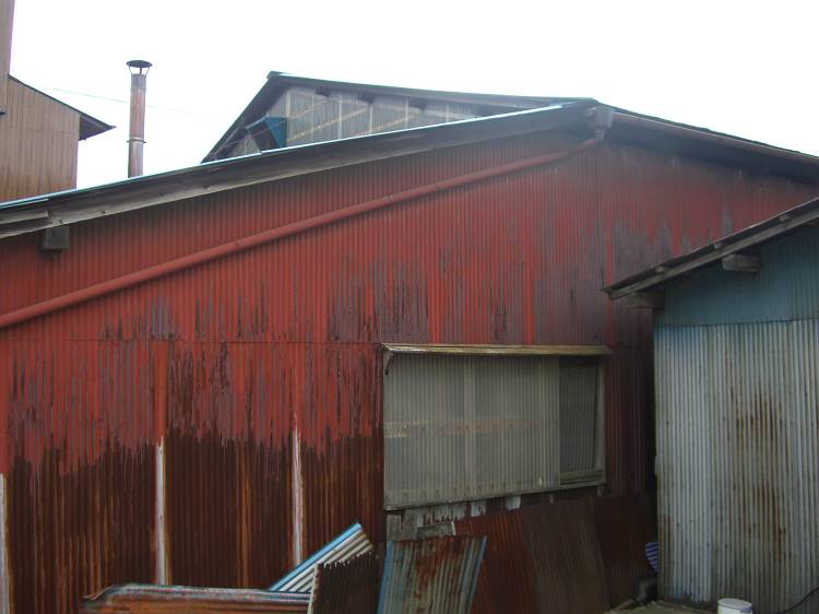 d0065324_1748048.jpg
