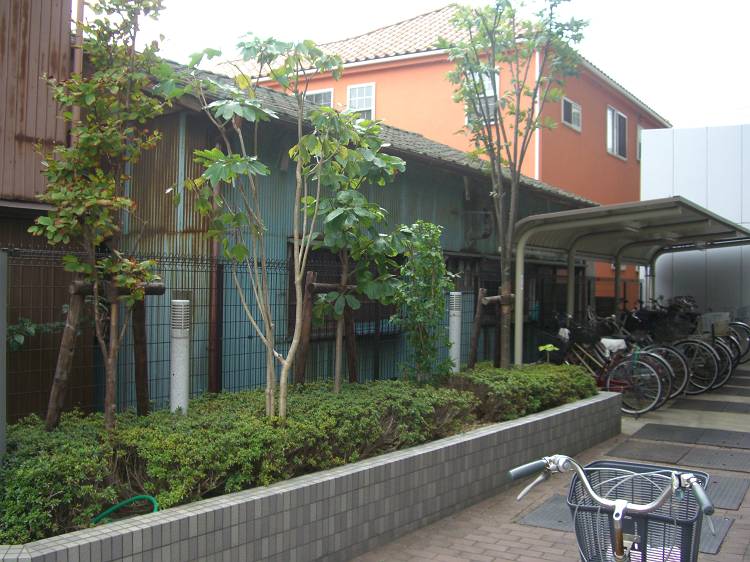 d0065324_17501120.jpg