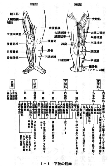 脳と足の裏は直結している_c0035230_23193047.jpg