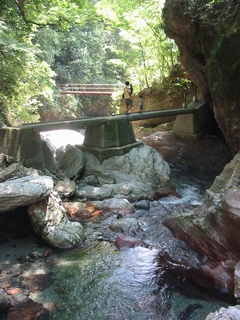f0105732_1862972.jpg
