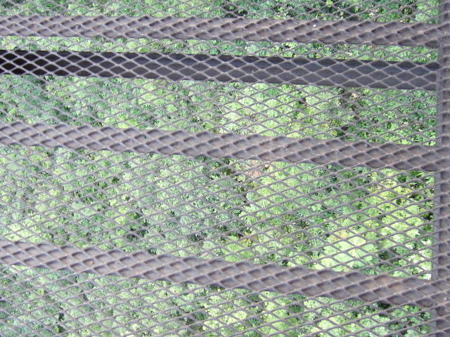 e0064133_01452.jpg