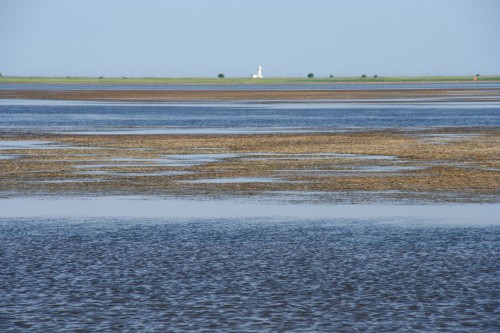 d0055236_23102073.jpg