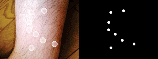 f0099247_147478.gif