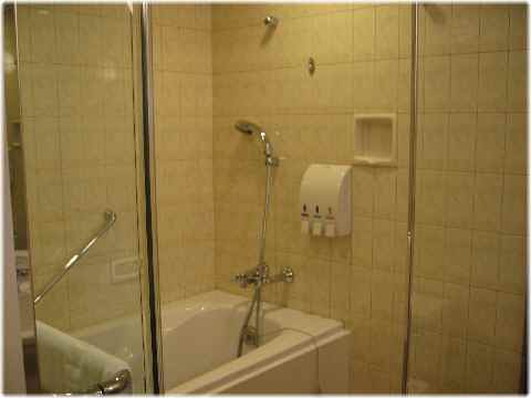 【琵琶湖ホテルの部屋と眺め】_b0009849_1449356.jpg