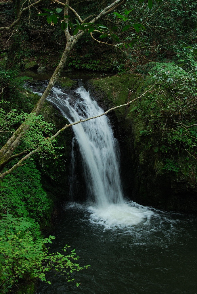 2007/9/03(月)　福山　藤尾の滝　（一の滝）_f0137351_190574.jpg