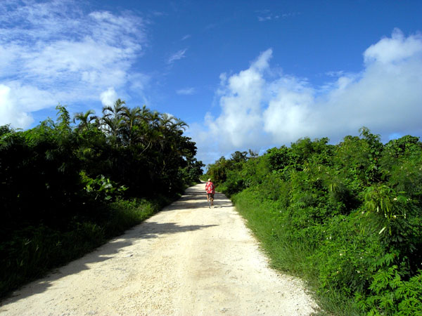 b0049152_858279.jpg