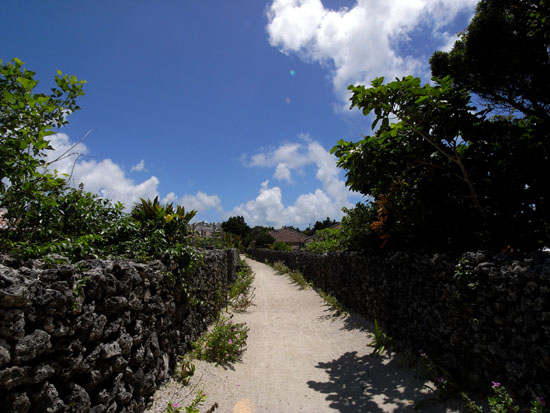 b0049152_8583416.jpg