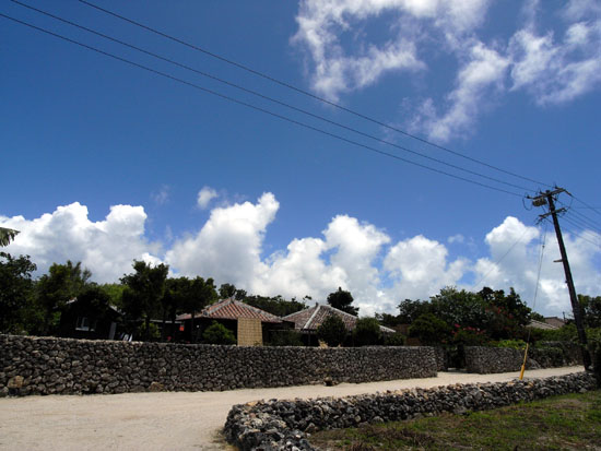 b0049152_8585848.jpg
