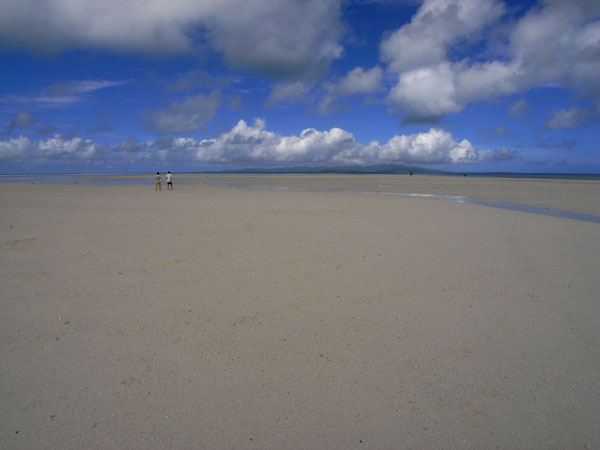 b0049152_94153.jpg
