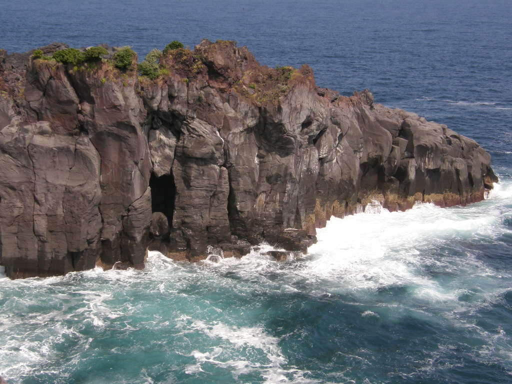 e0064158_2202458.jpg