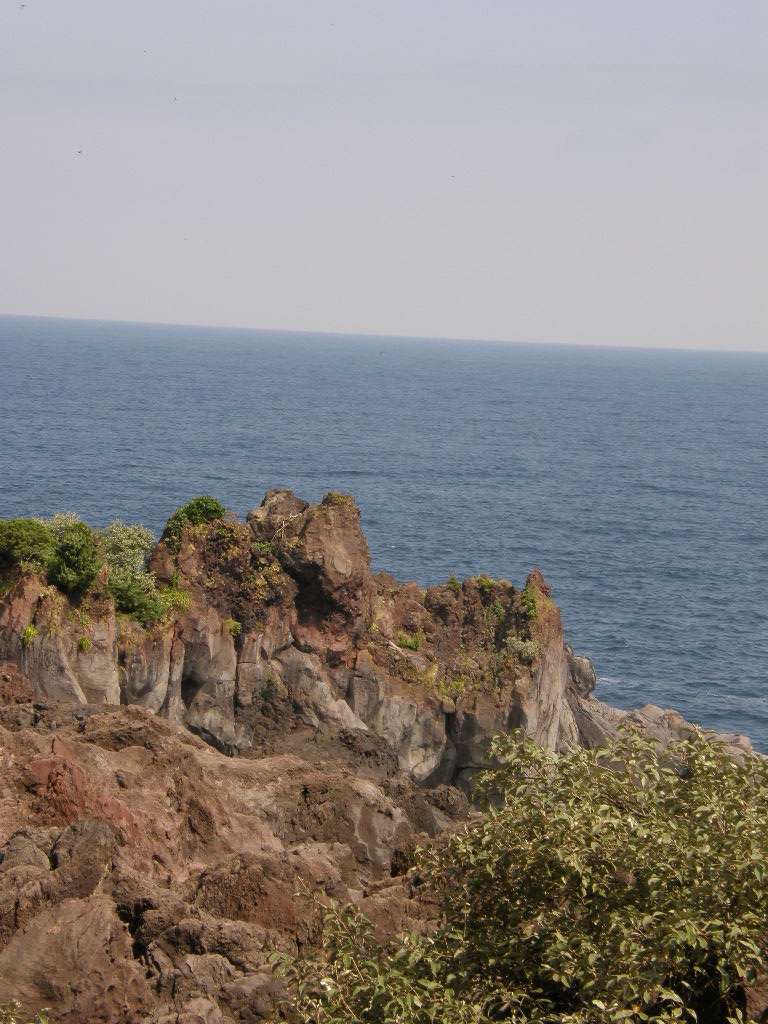 e0064158_2225432.jpg