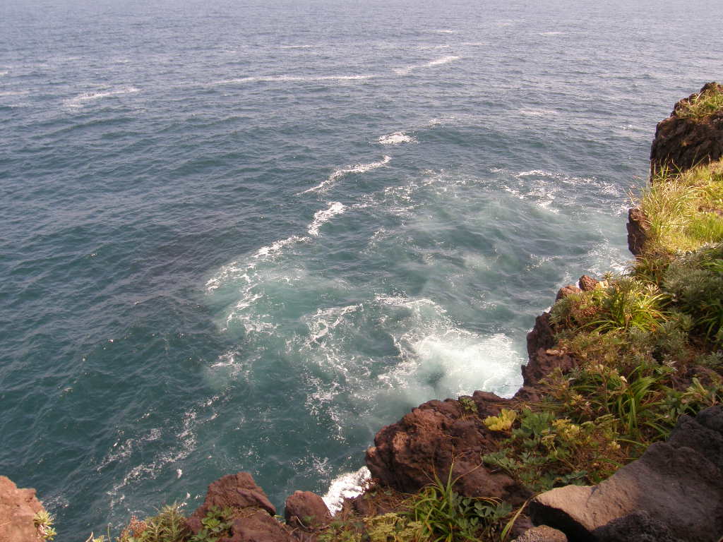e0064158_224542.jpg