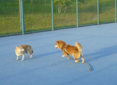 2007年9月3日(月)ママはドイツヘ!_f0060461_114996.jpg