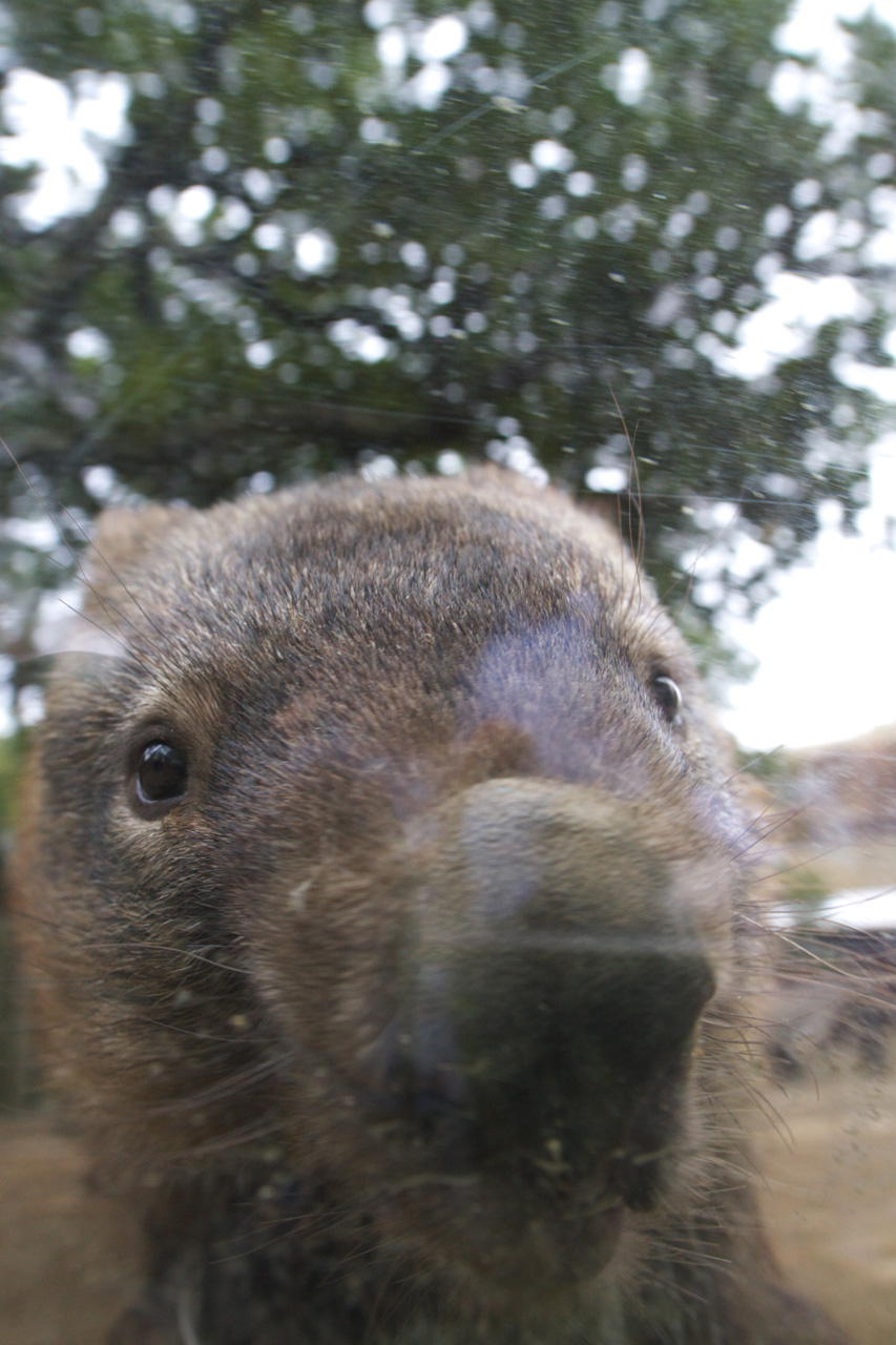 多摩動物公園120_e0060169_637083.jpg