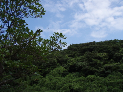 ビーチ散歩_a0077071_1675592.jpg