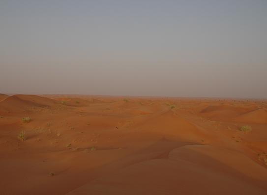 e0066474_15331886.jpg