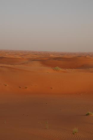 e0066474_15363547.jpg