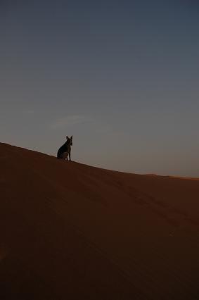 e0066474_1536586.jpg