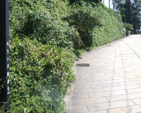 f0010577_5515327.gif