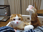 c0130389_22224.jpg