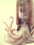 f0024090_038117.jpg