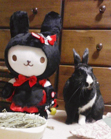 b0038295_13532053.gif