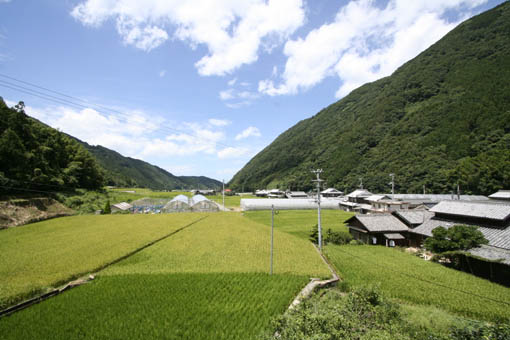 伊予行き 11 :翠小学校_e0054299_9125576.jpg