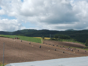収穫の秋ですね。_f0096216_1858942.jpg