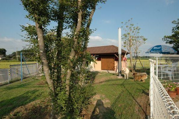 新築一犬屋!お披露目です!_a0059217_13422755.jpg