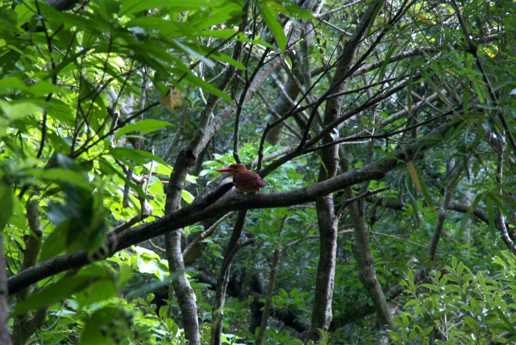 d0053930_65613.jpg