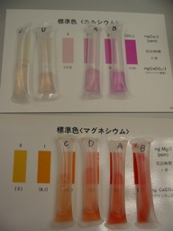 f0105732_10323981.jpg