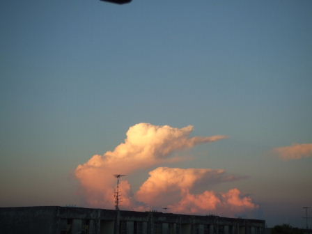 b0113334_1675246.jpg
