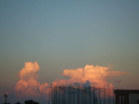 b0113334_1692047.jpg