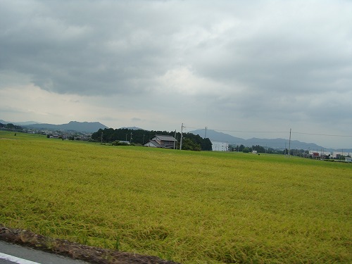 c0076141_13152882.jpg